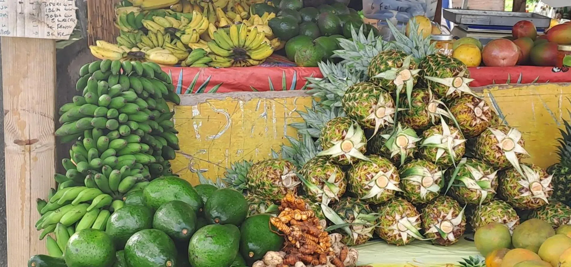 Vila Gozie Maison Plein Air Et Aere Le Gosier  Guadeloupe